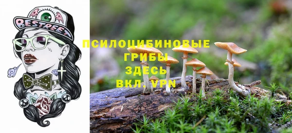 дживик Алзамай