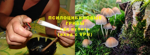 дживик Алзамай