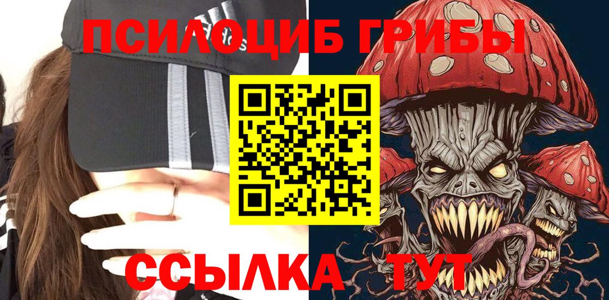 Карабулак  Псилоцибиновые грибы Psilocybe  Вход с VPN  Псилоцибиновые грибы мицелий 